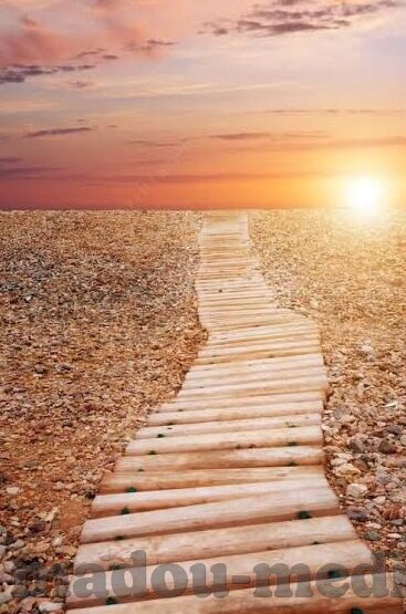 18av免费麻豆网-迷路的网络探索，警惕18av免费麻豆网陷阱