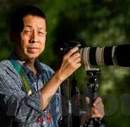 大象传媒网址-大象传媒，数字时代的文化桥梁