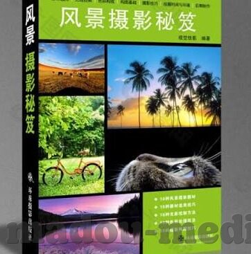 果冻传媒麻豆电影-探索果冻传媒与麻豆电影的创意交融，视觉艺术的创新之旅