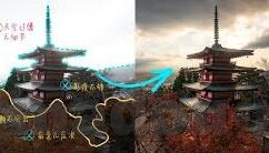 麻豆传媒是干什么的-麻豆传媒的不同面向