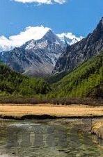麻豆煤app免费下载-探秘免费下载，麻豆煤app的便捷之旅