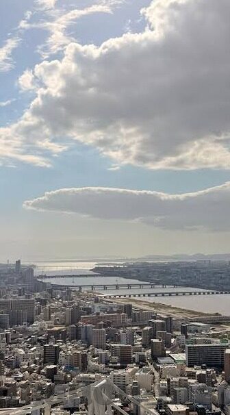 糖心官网下载入口-探寻甜蜜的糖心之旅——解锁官网下载神秘之门