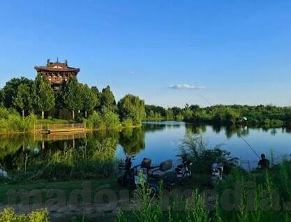 天美传媒果冻传媒在线电影-探索网络影视的多元化，天美传媒与果冻传媒的在线电影