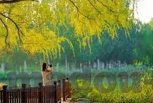性色av麻豆色哟哟蜜桃臀-接触自然，释放心灵的净土