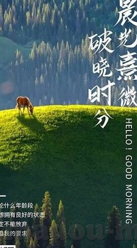 亚洲一区二区三区四区-亚洲区域发展新视角，一区二区三区四区的多元化探索